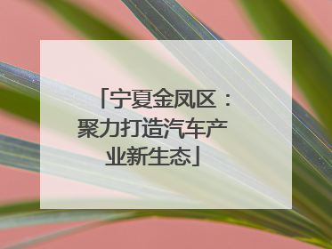 宁夏金凤区：聚力打造汽车产业新生态