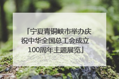 宁夏青铜峡市举办庆祝中华全国总工会成立100周年主题展览