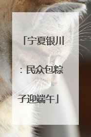 宁夏银川：民众包粽子迎端午