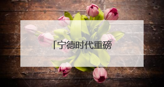 宁德时代重磅官宣：取得新突破，量产交付