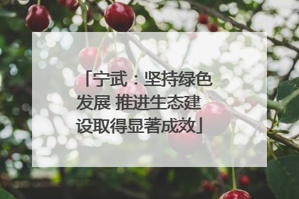 宁武：坚持绿色发展 推进生态建设取得显著成效
