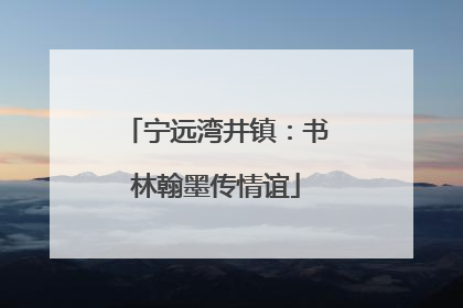 宁远湾井镇：书林翰墨传情谊