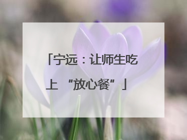 宁远：让师生吃上 “放心餐”