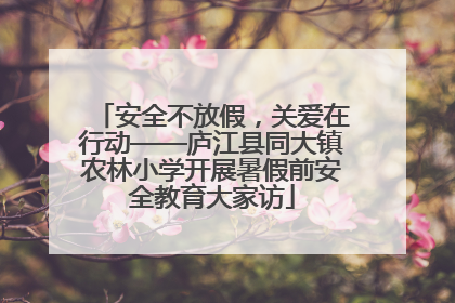 安全不放假，关爱在行动——庐江县同大镇农林小学开展暑假前安全教育大家访