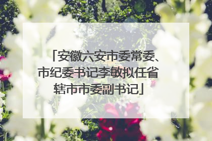 安徽六安市委常委、市纪委书记李敏拟任省辖市市委副书记
