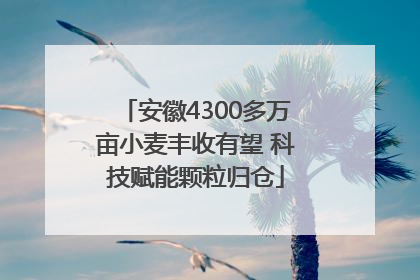 安徽4300多万亩小麦丰收有望 科技赋能颗粒归仓