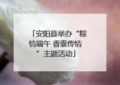 安阳县举办“粽情端午 香囊传情”主题活动
