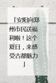 安阳向郑州市民送福利啦！这个夏日，来感受古都魅力