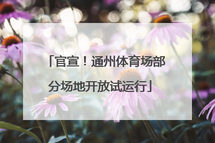 官宣！通州体育场部分场地开放试运行
