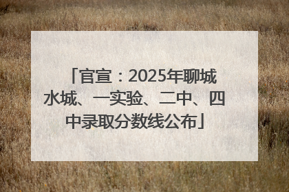 官宣：2025年聊城水城、一实验、二中、四中录取分数线公布