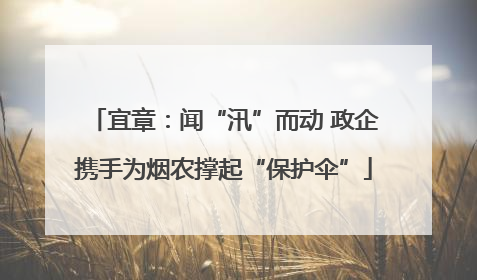 宜章：闻“汛”而动 政企携手为烟农撑起“保护伞”