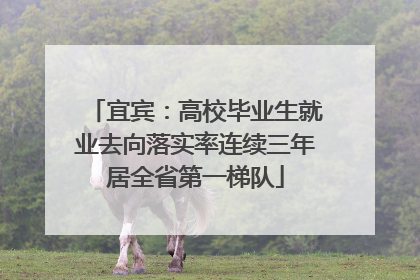 宜宾：高校毕业生就业去向落实率连续三年居全省第一梯队