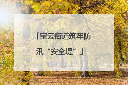 宝云街道筑牢防汛“安全堤”