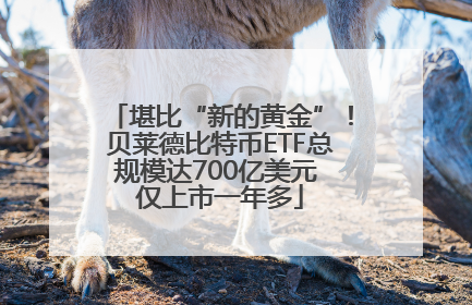 堪比“新的黄金”！贝莱德比特币ETF总规模达700亿美元 仅上市一年多
