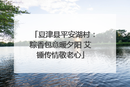 夏津县平安湖村：粽香包意暖夕阳 艾锤传情敬老心