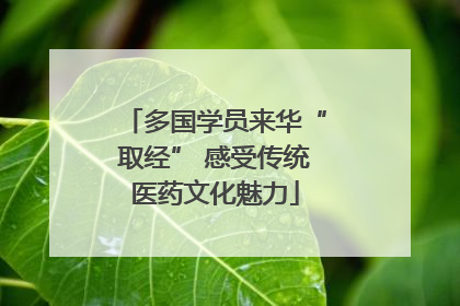 多国学员来华“取经” 感受传统医药文化魅力