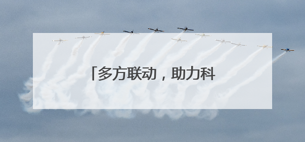 多方联动，助力科摩罗唯一参展商