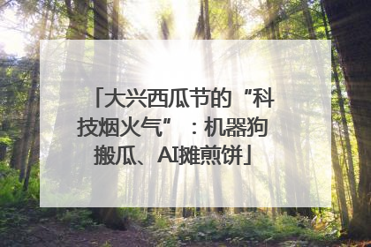 大兴西瓜节的“科技烟火气”：机器狗搬瓜、AI摊煎饼