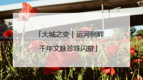 大城之变｜运河侧畔 千年文脉珍珠闪耀