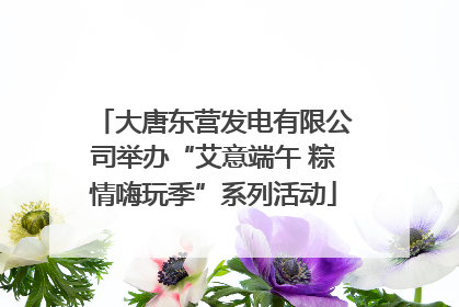 大唐东营发电有限公司举办“艾意端午 粽情嗨玩季”系列活动