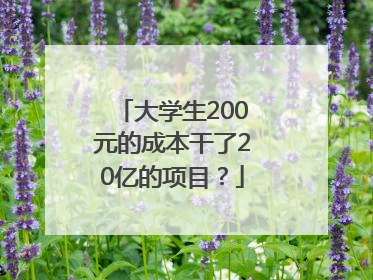大学生200元的成本干了20亿的项目？