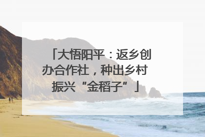 大悟阳平：返乡创办合作社，种出乡村振兴“金稻子”