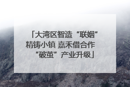 大湾区智造“联姻”精铸小镇 嘉禾借合作“破茧”产业升级