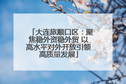 大连旅顺口区：聚焦稳外资稳外贸 以高水平对外开放引领高质量发展