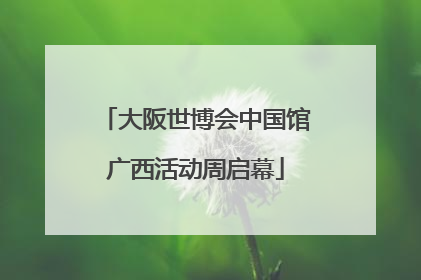 大阪世博会中国馆广西活动周启幕
