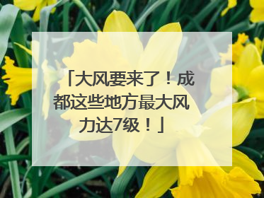大风要来了！成都这些地方最大风力达7级！