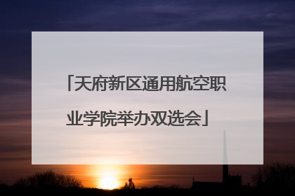 天府新区通用航空职业学院举办双选会