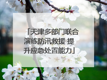 天津多部门联合演练防汛救援 提升应急处置能力