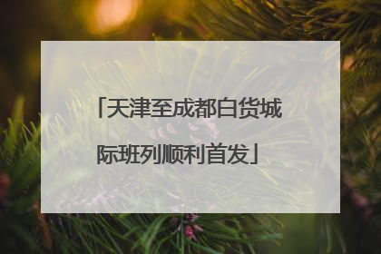 天津至成都白货城际班列顺利首发