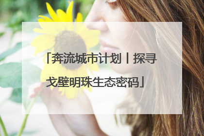 奔流城市计划丨探寻戈壁明珠生态密码