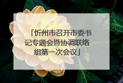 忻州市召开市委书记专题会暨协调联络组第一次会议