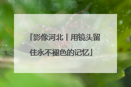 影像河北丨用镜头留住永不褪色的记忆