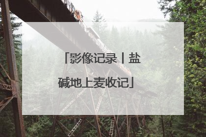 影像记录丨盐碱地上麦收记