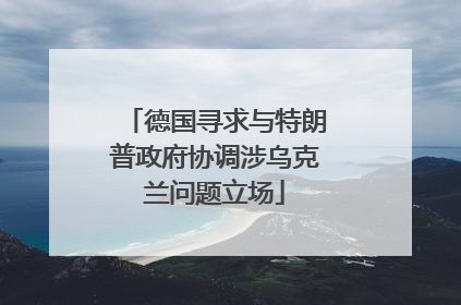 德国寻求与特朗普政府协调涉乌克兰问题立场