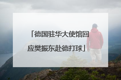 德国驻华大使馆回应樊振东赴德打球