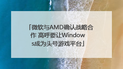 微软与AMD确认战略合作 高呼要让Windows成为头号游戏平台