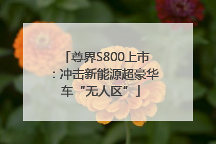 尊界S800上市：冲击新能源超豪华车“无人区”