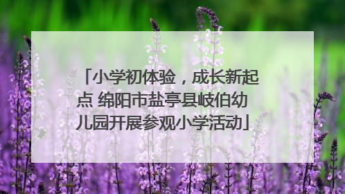 小学初体验，成长新起点 绵阳市盐亭县岐伯幼儿园开展参观小学活动