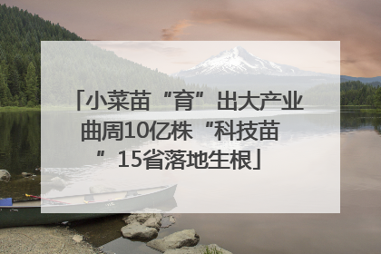 小菜苗“育”出大产业 曲周10亿株“科技苗”15省落地生根