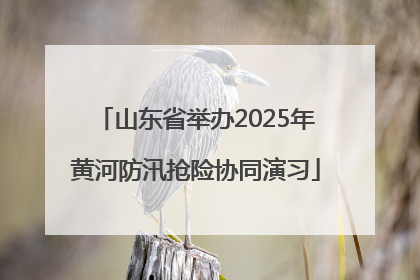 山东省举办2025年黄河防汛抢险协同演习