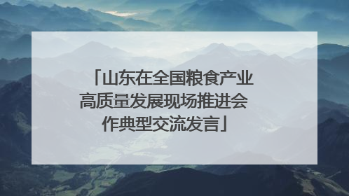 山东在全国粮食产业高质量发展现场推进会作典型交流发言