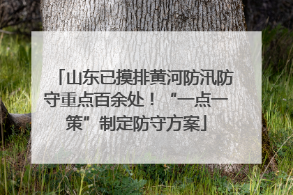 山东已摸排黄河防汛防守重点百余处！“一点一策”制定防守方案