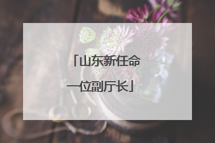 山东新任命一位副厅长