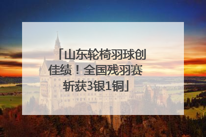 山东轮椅羽球创佳绩！全国残羽赛斩获3银1铜