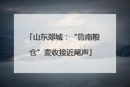 山东郯城：“鲁南粮仓”麦收接近尾声