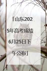 山东2025年高考成绩6月25日下午公布